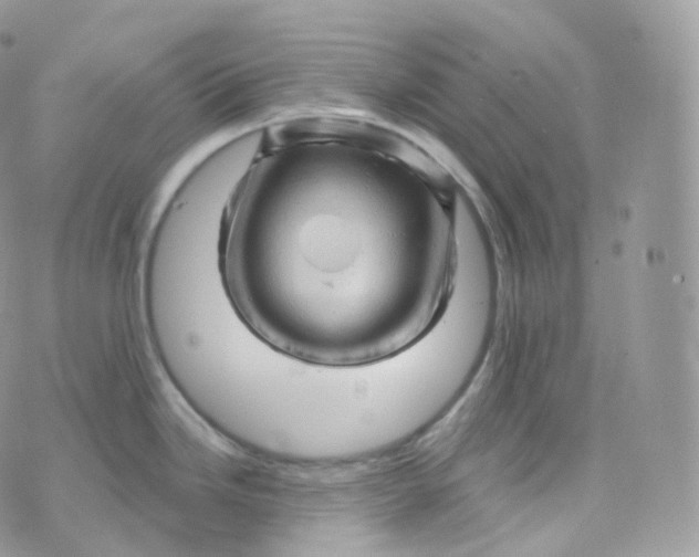 X0000070421246200606302053