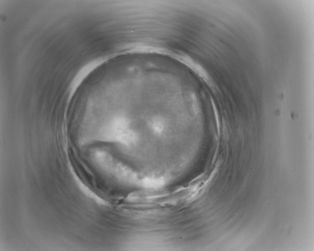 X0000070421247200606302053