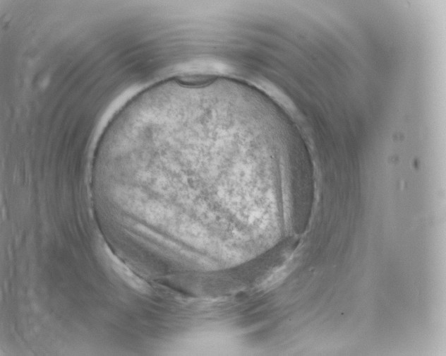 X0000070421248200606302053