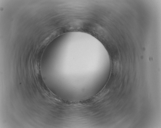 X0000070421250200606302052