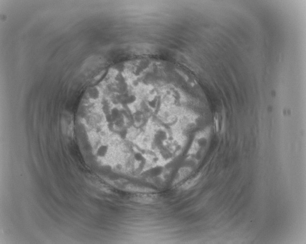 X0000070421251200606302052