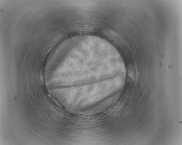 X0000070421252200606302052