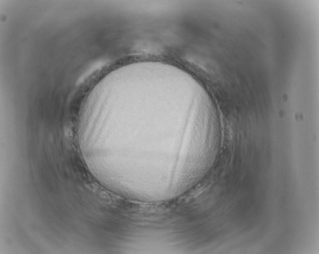 X0000070421254200606302052