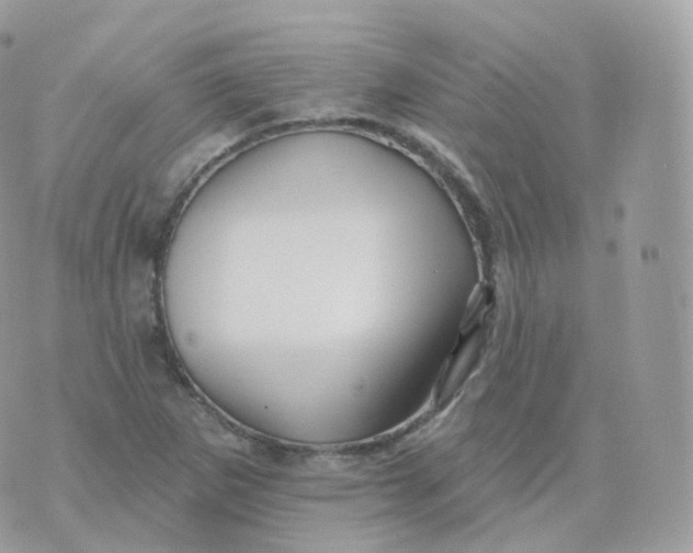 X0000070421265200606302052