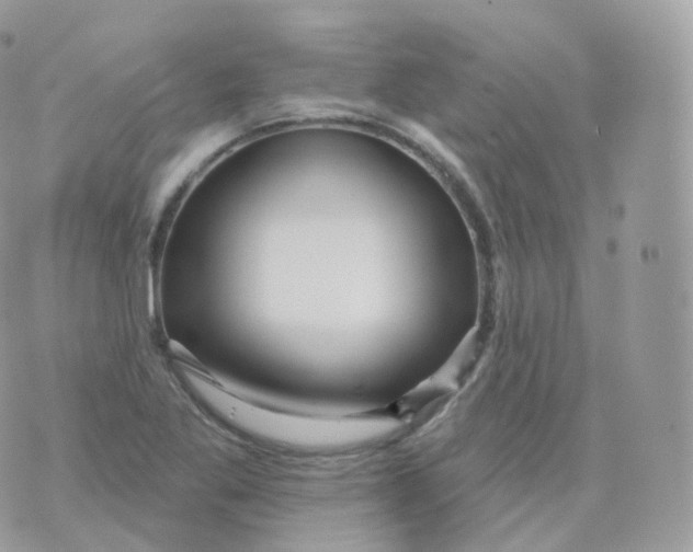 X0000070421269200606302052