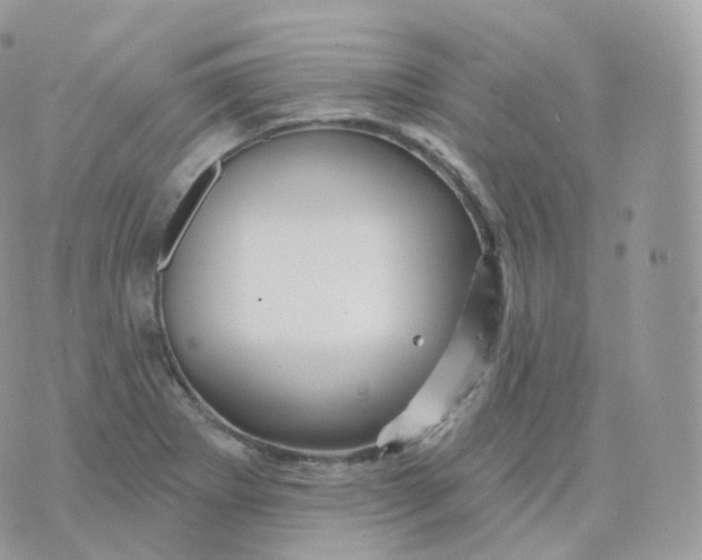 X0000070421273200606302052