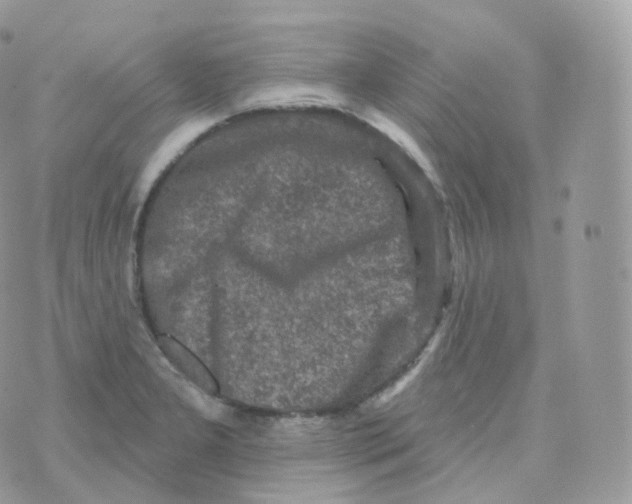 X0000070421277200606302052