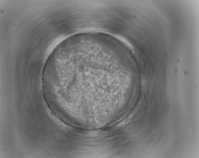 X0000070421279200606302052