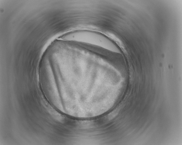 X0000070421280200606302052