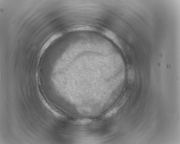 X0000070421282200606302052