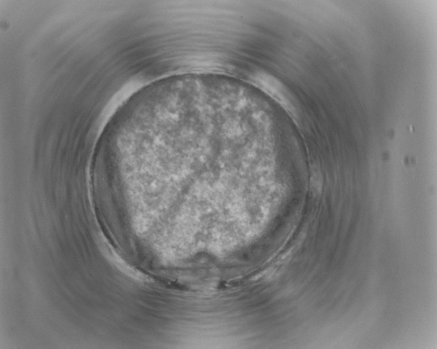 X0000070421283200606302052