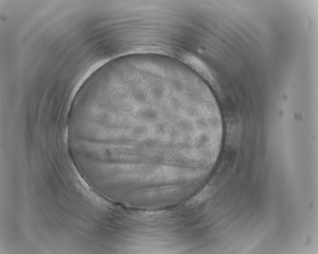 X0000070421284200606302052