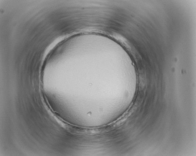 X0000070421286200606302052