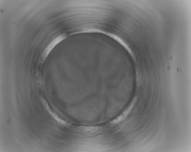 X0000070421289200606302052