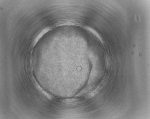 X0000070421290200606302052