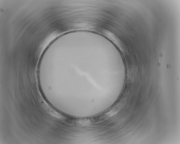 X0000070421291200606302052