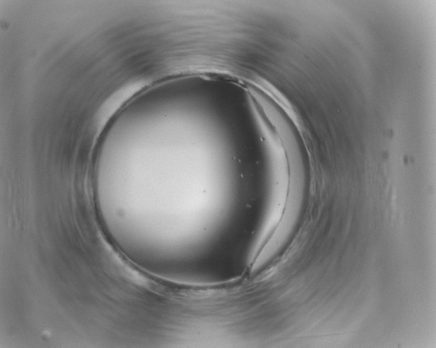 X0000070421293200606302052