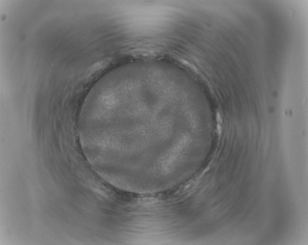 X0000070421297200606302051