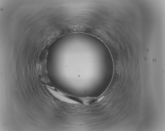 X0000070421298200606302051