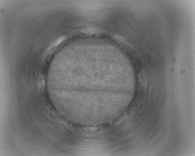 X0000070421302200606302051