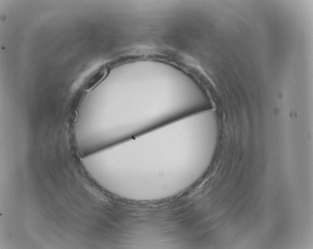 X0000070421304200606302051