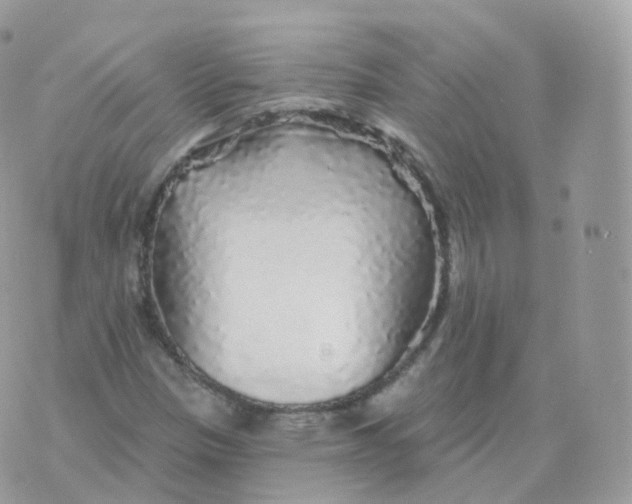 X0000070421305200606302051