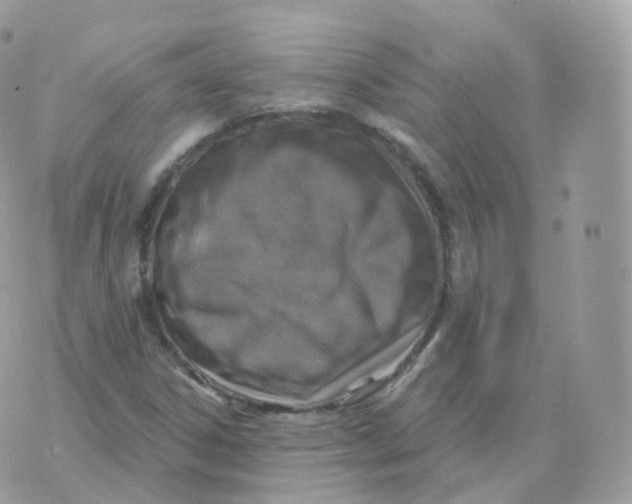 X0000070421306200606302051