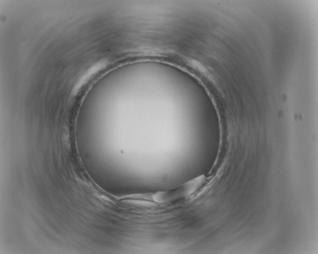 X0000070421307200606302051