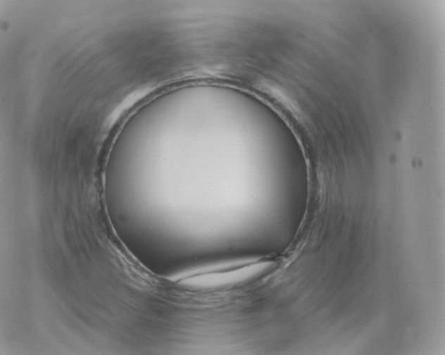 X0000070421308200606302051