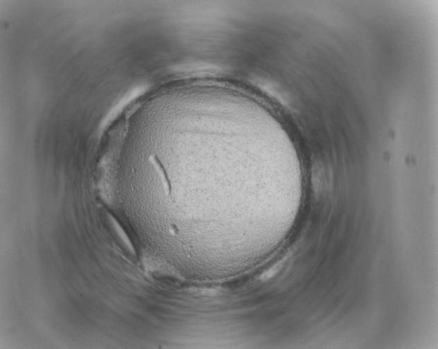 X0000070421309200606302051