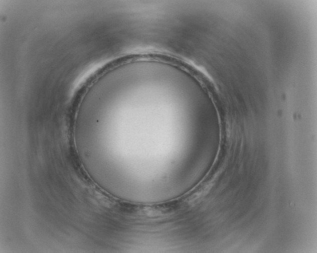 X0000070421311200606302051