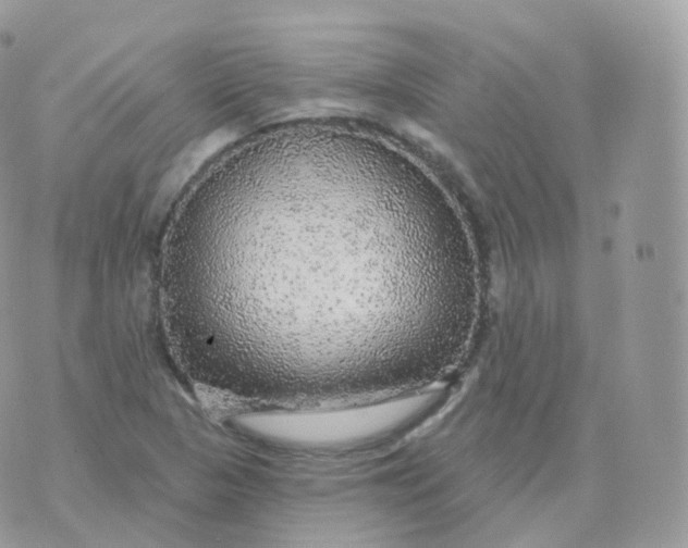 X0000070421313200606302051