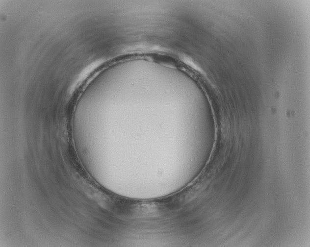 X0000070421315200606302051