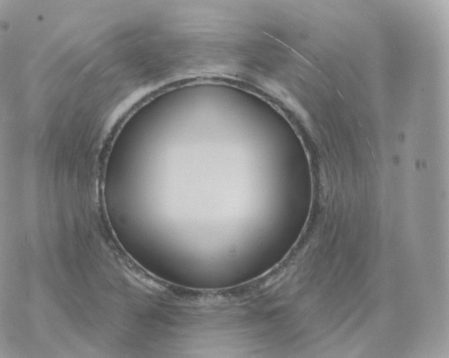 X0000070421316200606302051