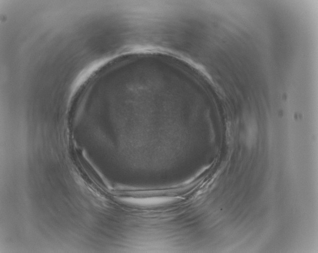 X0000070421319200606302051