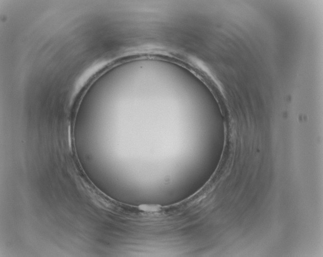 X0000070421320200606302051