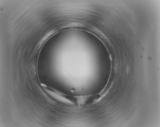 X0000070421321200606302051