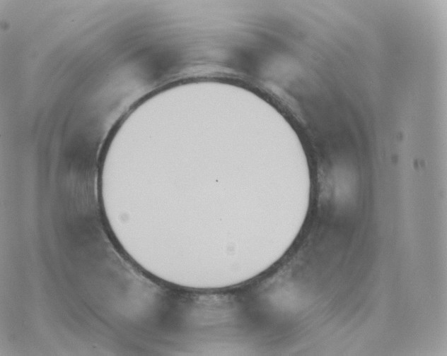 X0000070421322200606302051