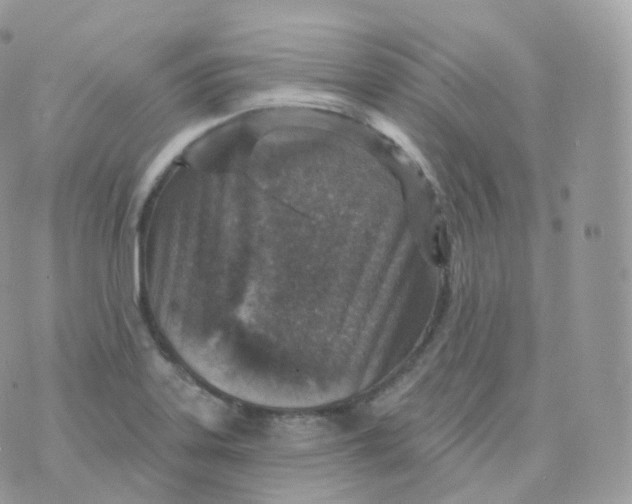 X0000070421323200606302051