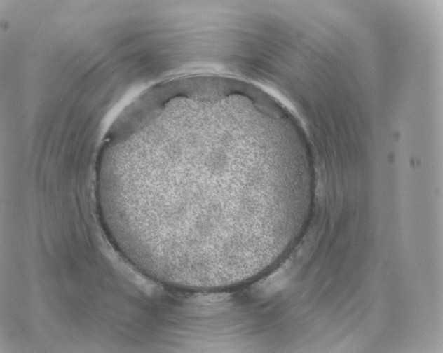 X0000070421325200606302051