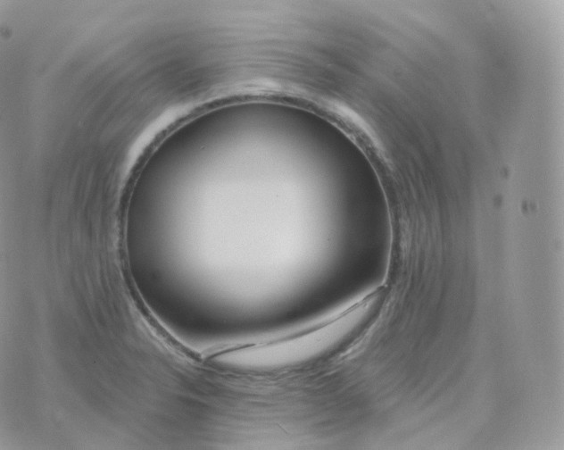 X0000070421326200606302051