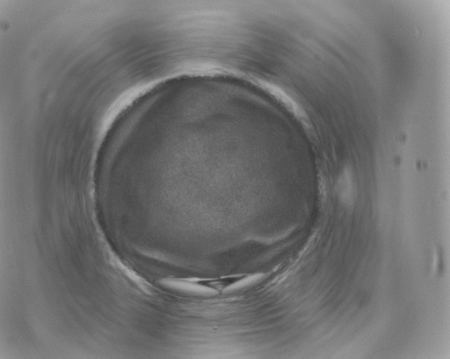 X0000070421327200606302051