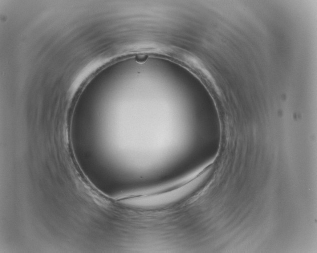 X0000070421328200606302051