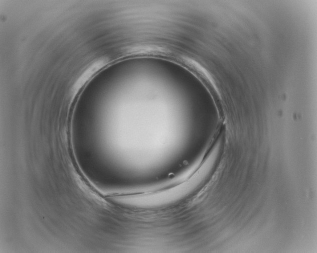 X0000070421330200606302051