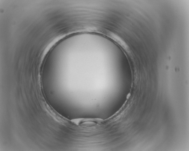 X0000070421332200606302051