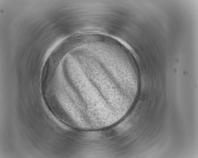 X0000070421333200606302051