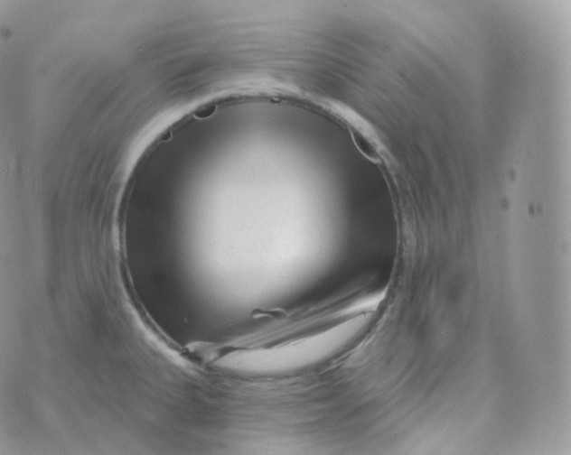 X0000070421335200606302051