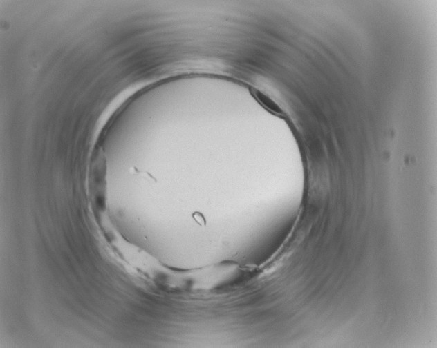 X0000070421339200606302052