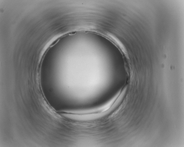 X0000070421340200606302052