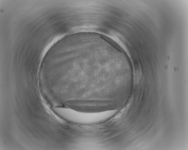 X0000070421341200606302052